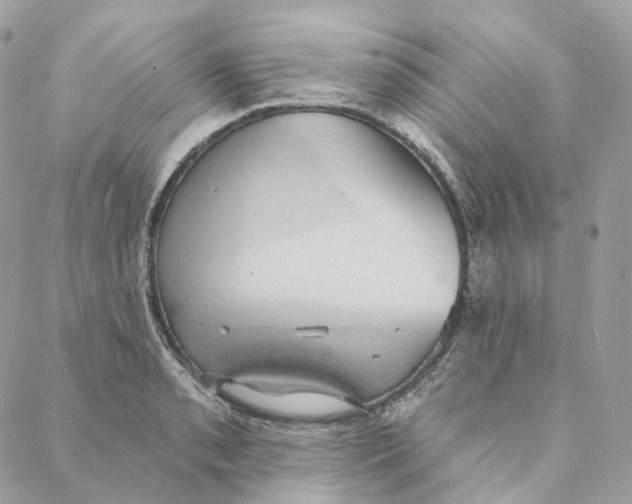 X0000088021085200706011318