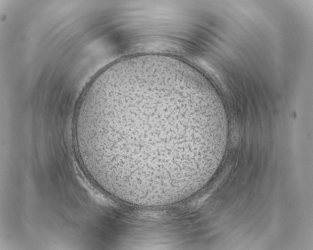 X0000088021086200706011318