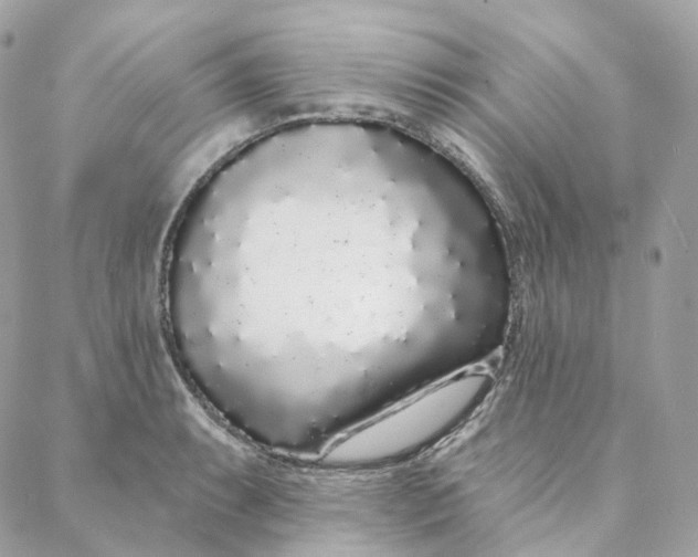 X0000088021087200706011318