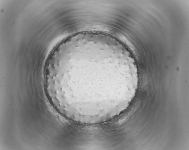 X0000088021088200706011318