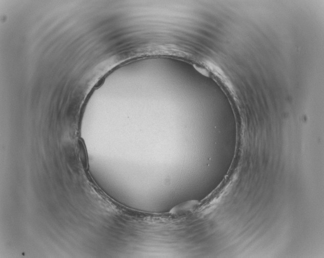 X0000088021089200706011318