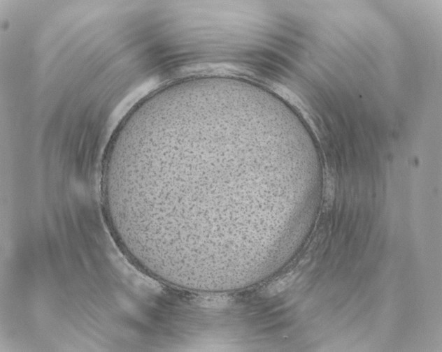 X0000088021090200706011318