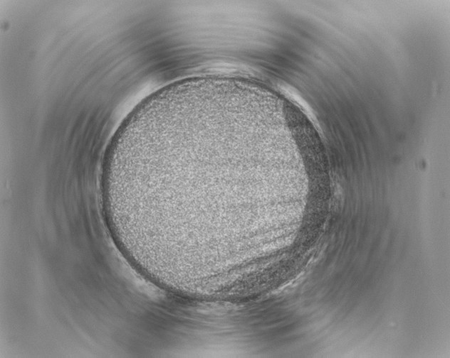 X0000088021091200706011318