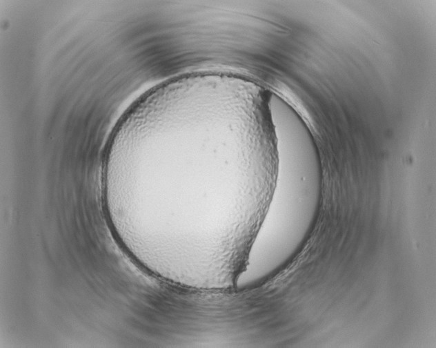 X0000088021092200706011318