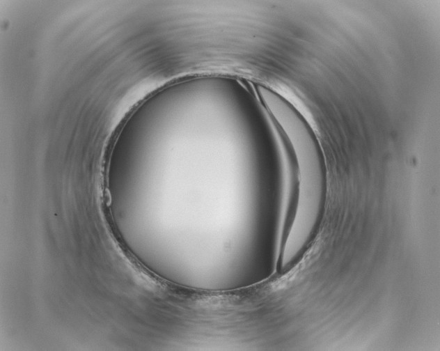 X0000088021093200706011318