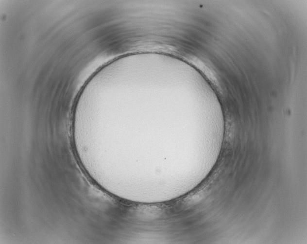 X0000088021094200706011318