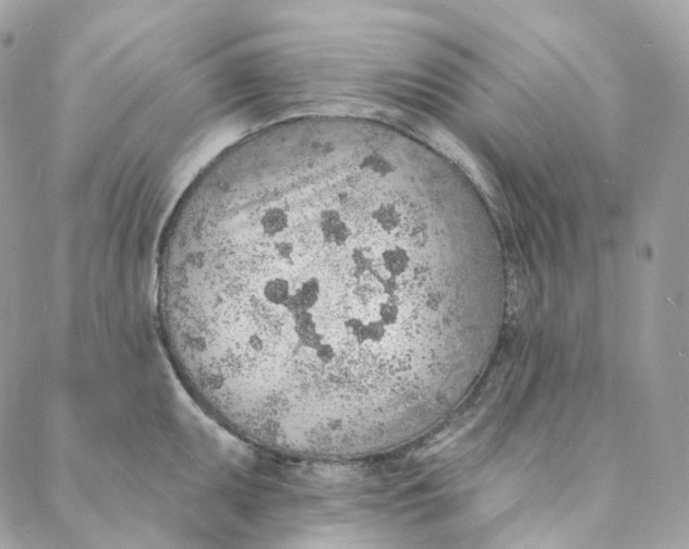 X0000088021095200706011318