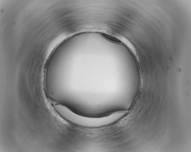 X0000088021096200706011318