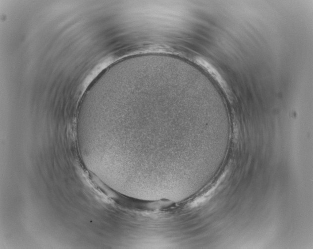 X0000088021097200706011318