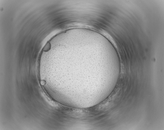 X0000088021098200706011318