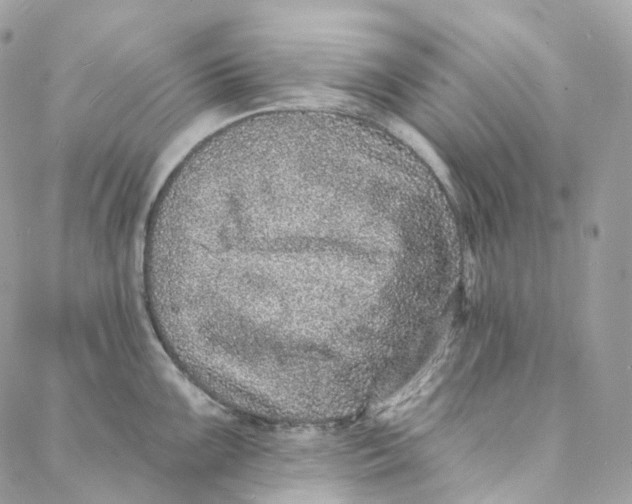 X0000088021099200706011318