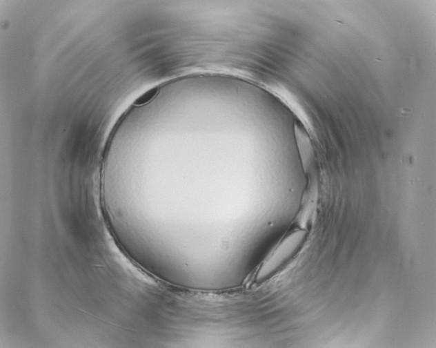 X0000088021100200706011318