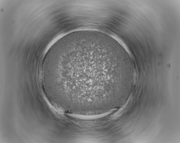 X0000088021101200706011318