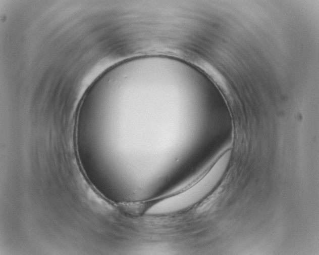 X0000088021102200706011318