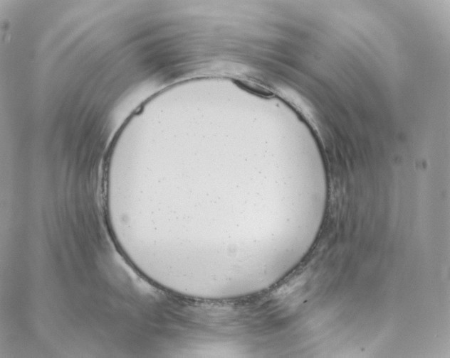 X0000088021103200706011318