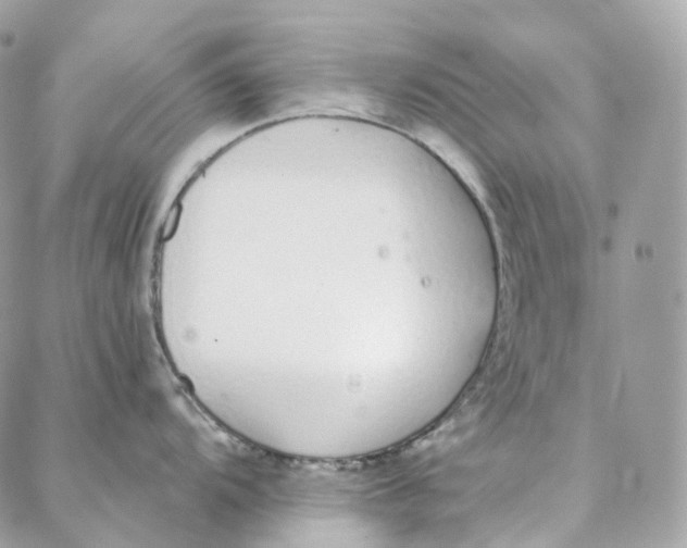 X0000088021104200706011318