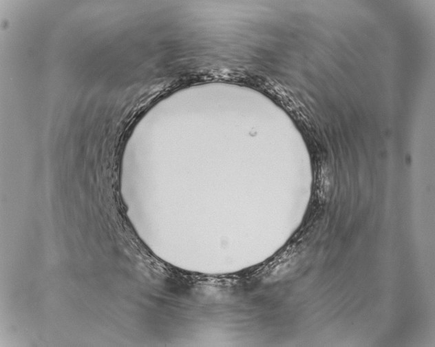 X0000088021105200706011317