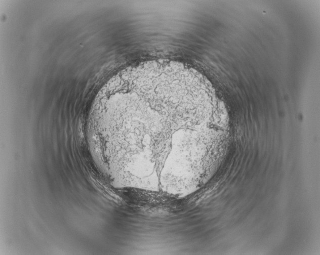 X0000088021106200706011317