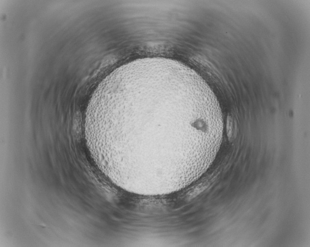 X0000088021107200706011317