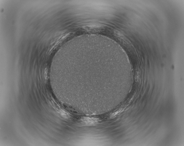 X0000088021108200706011317