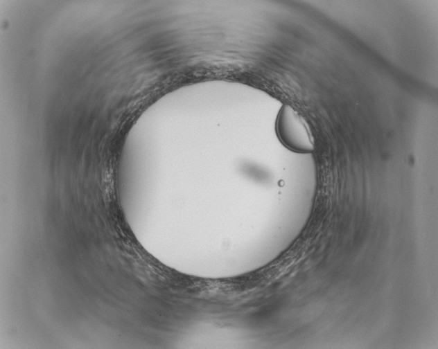 X0000088021109200706011317