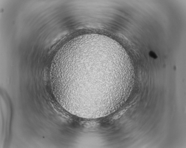 X0000088021110200706011317