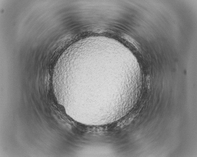 X0000088021111200706011317