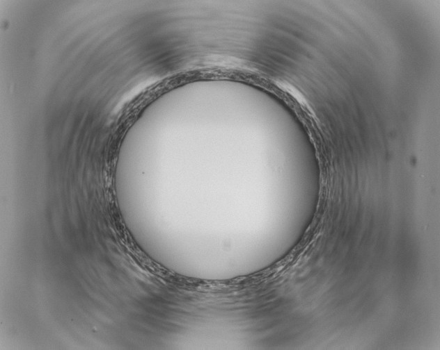 X0000088021112200706011317