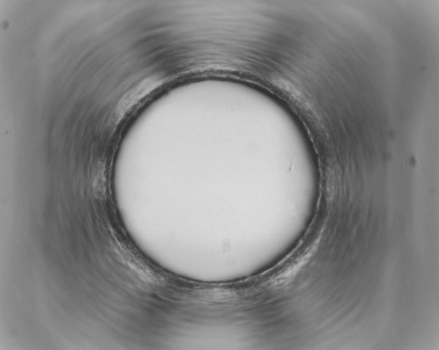 X0000088021113200706011317