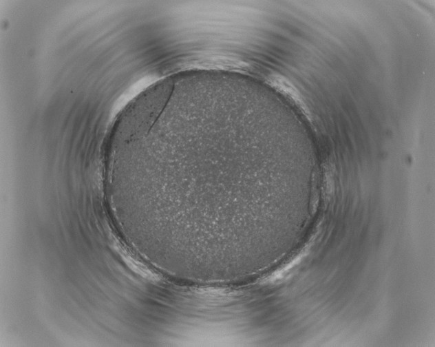 X0000088021114200706011317