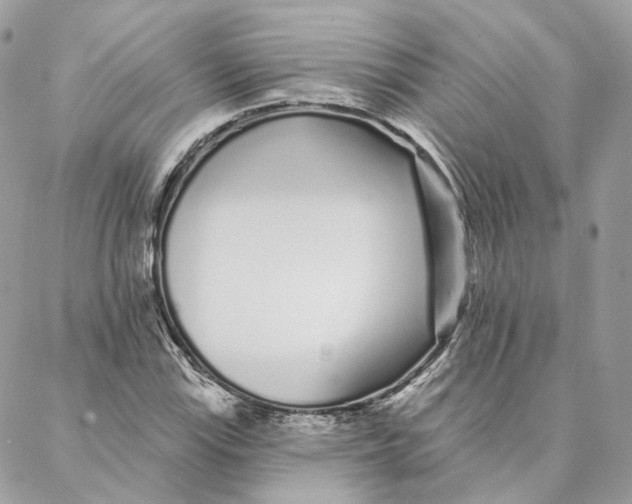 X0000088021115200706011317