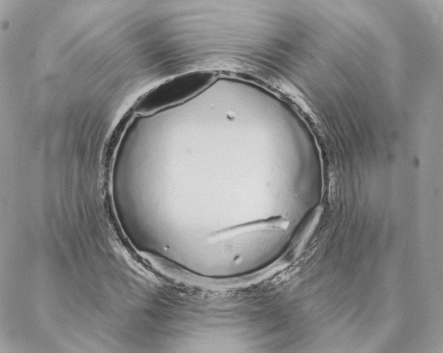 X0000088021116200706011317