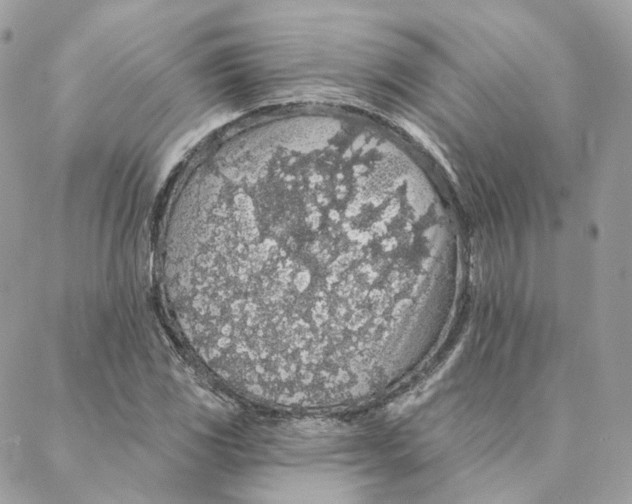 X0000088021117200706011317