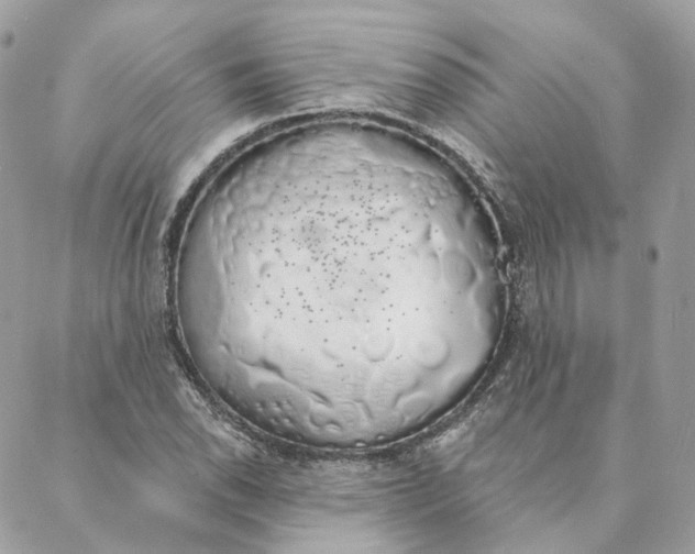 X0000088021118200706011317