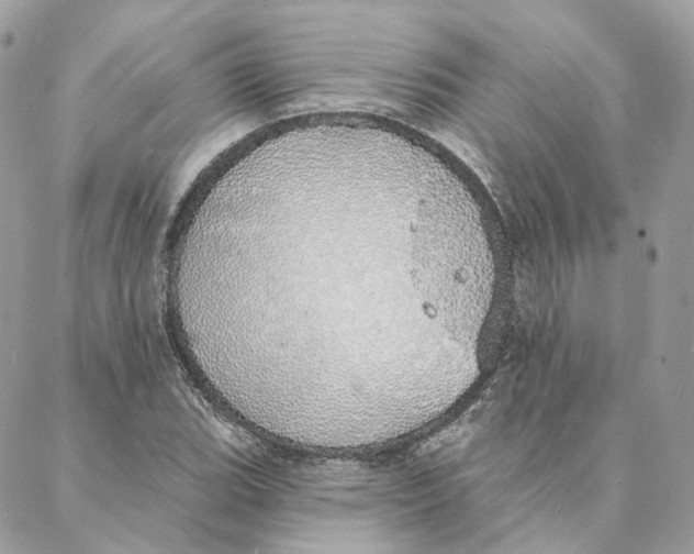 X0000088021119200706011317