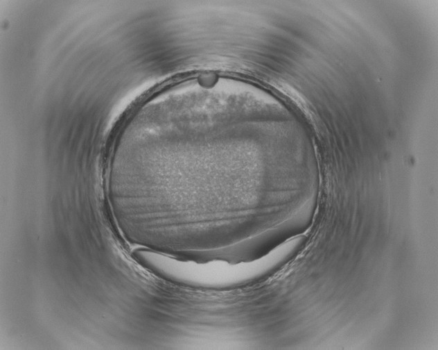 X0000088021120200706011317