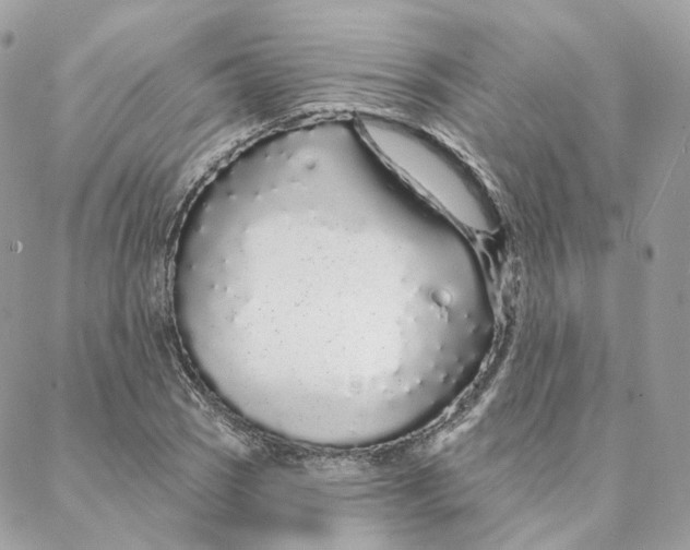 X0000088021121200706011317