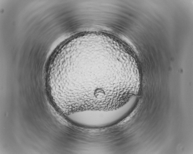 X0000088021122200706011317