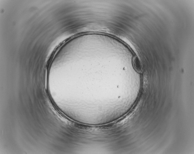 X0000088021123200706011317