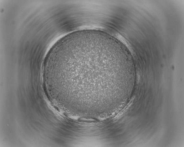 X0000088021124200706011317