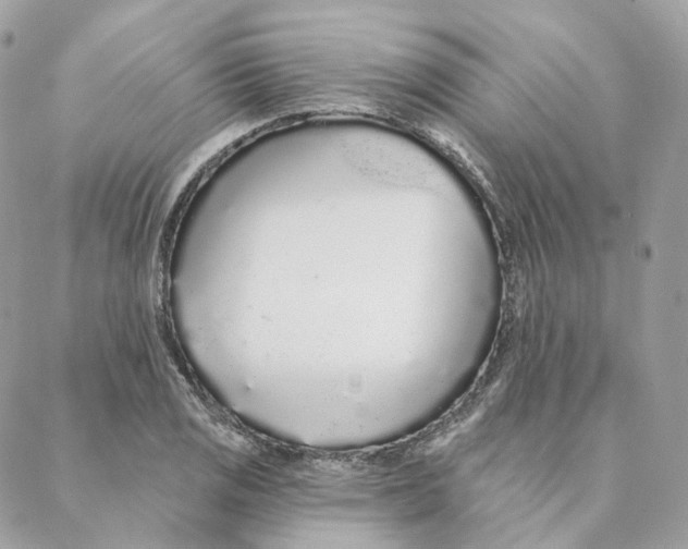 X0000088021125200706011317