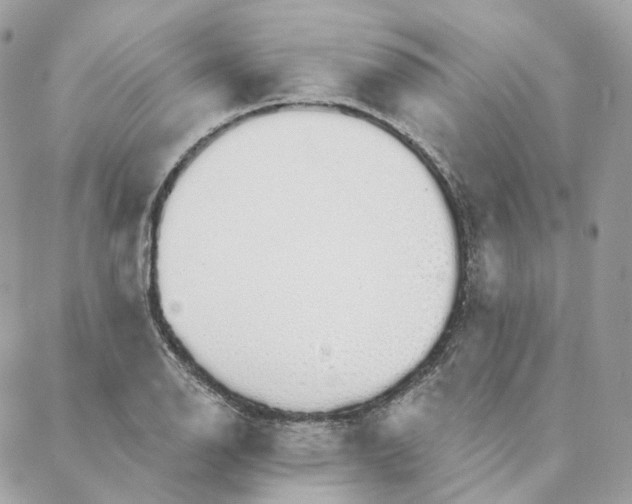 X0000088021126200706011317