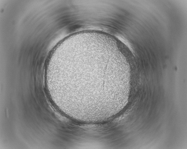 X0000088021127200706011317