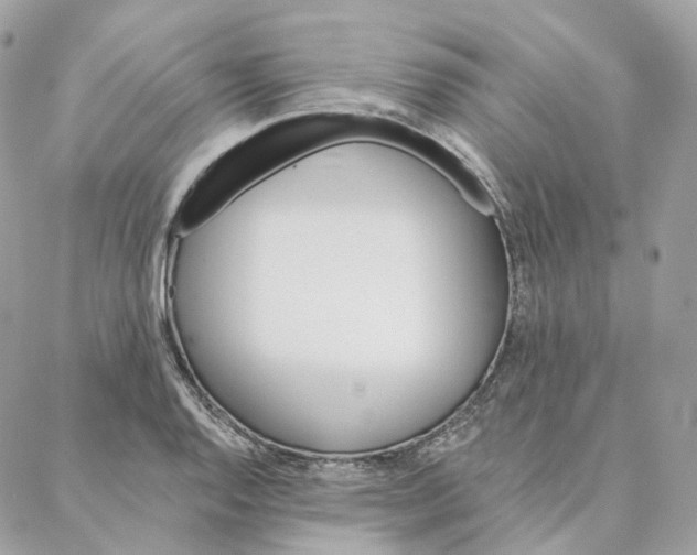 X0000088021128200706011317