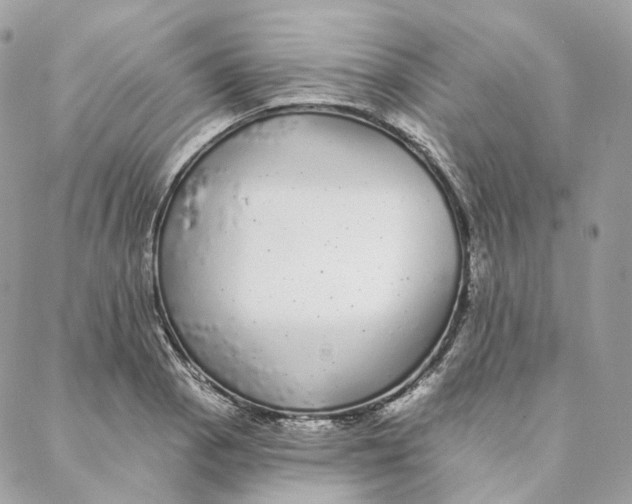 X0000088021129200706011317