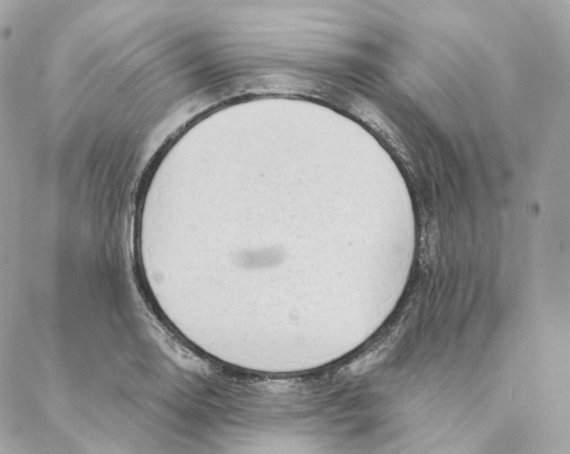 X0000088021130200706011317