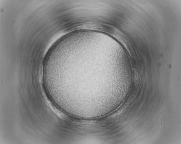 X0000088021131200706011317