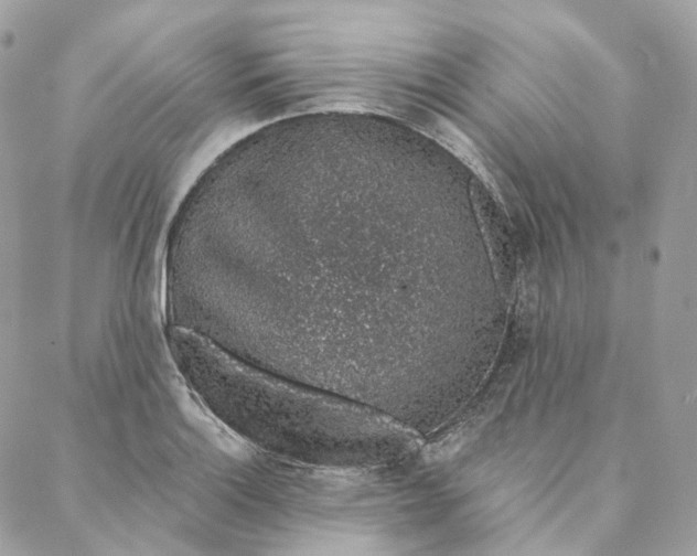 X0000088021132200706011317