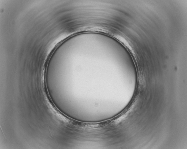 X0000088021133200706011318