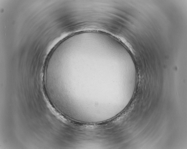 X0000088021134200706011318